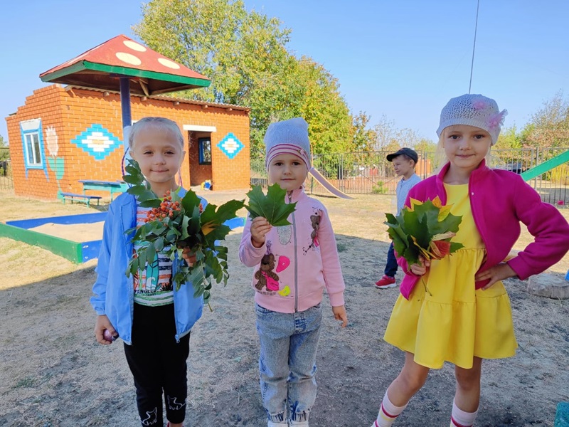 Вот и осень наступила.